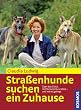 Stra�enhunde suchen ein Zuhause. �ber das Gl�ck, mit Streunern zu leben - und wie es gelingt