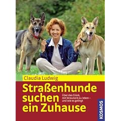 Stra�enhunde suchen ein Zuhause. �ber das Gl�ck, mit Streunern zu leben - und wie es gelingt