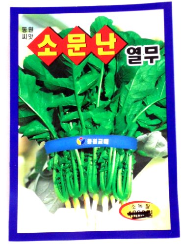 Yeolmu Seeds Korean. 2 Pack(4grams-each)