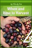 When and How To Preserve (Starting Your Organic Garden)