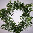 20" Asclepias Wreath