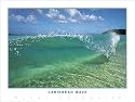 Woody Woodworth "Caribbean Wave" Surfing Poster