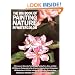 The Big Book of Painting Nature in Watercolor (Practical Art Books)