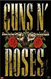 Guns N Roses Best Seller Poster Print, 22x34 Poster Print, 22x34
