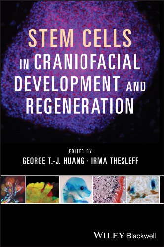 Stem Cells, Craniofacial Development and Regeneration