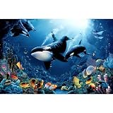 (24x36) Delight of Life Underwater Scene Art Print Poster
