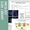 Oncology Slide Library