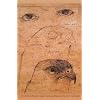 Doubters and Dreamers (Sun Tracks)