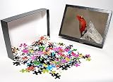Photo Jigsaw Puzzle of Male northern cardinal (Cardinalis cardinalis), The Pond, Amado, Arizona, from Robert Harding