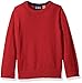 The Children's Place Baby Boys' Crewneck Sweater