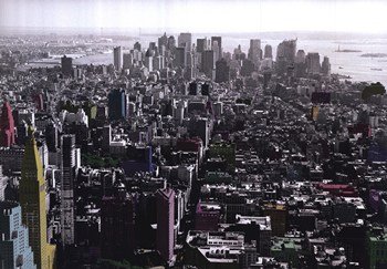 Flat Iron - Poster by Anne Valverde (39.25 x 27.5)