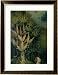 The Tree of the Knowledge of Good and Evil, Fr. the Right Panel of the Garden of Earthly Delights Framed Art Poster Print by Hieronymus Bosch, 27x33