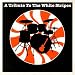 Seven Nation Army cover
