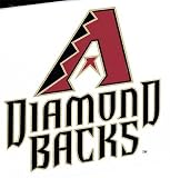 Diamond Backs Kid's Toy Box Storage