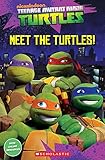 Meet the Turtles!