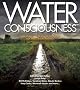 Water Consciousness