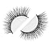 3d Lashes Siberian Mink Eyelashes - NYC (For Lilly)