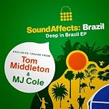 Urubu No Telhado (MJ Cole Remix)