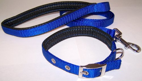 Padded Nylon Dog Collar & Leash Set 15