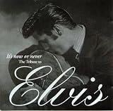 It`s Now or Never - The Tribute to Elvis Presley