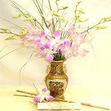 Oriental Vase Dendrobrium
