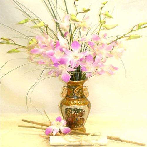 Oriental Vase Dendrobrium