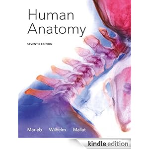 human anatomy physiology 7th edition