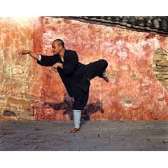 Monk performing preying mantis posture