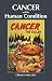 Cancer and the Human Condition