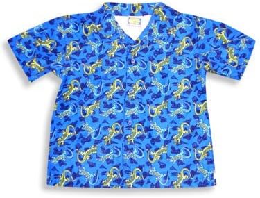 Private Label - Little Boys Short Sleeved Cover-up, Royal, Lime 4765-6