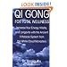 Qi Gong for Total Wellness: Increase Your Energy, Vitality, and Longevity with the Ancient 9 Palaces System from the White Cloud Monastery