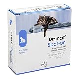 Droncit® Spot-on Lösung Pipetten, 4x0.5 ml
