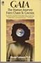 GAIA: THE HUMAN JOURNEY FROM CHAOS TO COSMOS (Pocket new age)