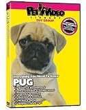 PUG DVD! Everything You Should Know + Dog & Puppy Training Bonus