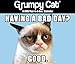 Grumpy Cat Boxed Calendar (2015)