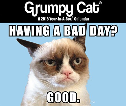 Grumpy Cat Boxed Calendar (2015)