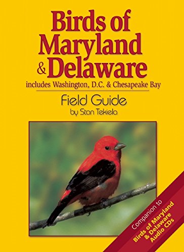 Birds of Maryland & Delaware Field Guide (Bird Identification Guides)