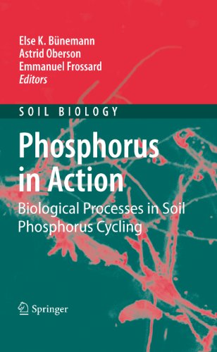 Phosphorus in Action: Biological Processes in Soil Phosphorus Cycling: 26 (Soil Biology)