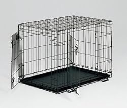 Midwest Life Stages Double-Door Folding Metal Dog Crate, 48 Inches by 30 Inches by 33 Inches
