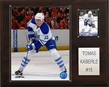 NHL Tomas Kaberle Toronto Maple Leafs Player Plaque