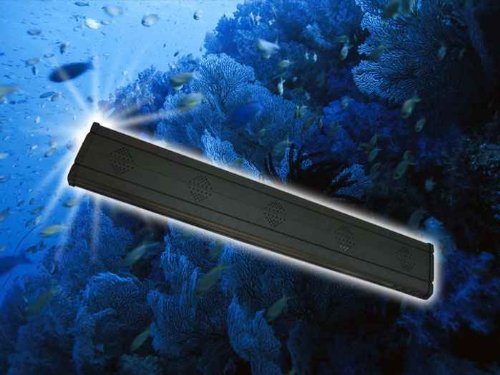 48'' 300 Watt 2x 150 HQI Aquarium Light w/ Lunar LED Moonlights Blue 48'' 300 Watt 2x 150 HQI Aquarium Light w/ Lunar LED Moonlights Blue