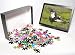 Photo Jigsaw Puzzle of 2372dt from David Tipling