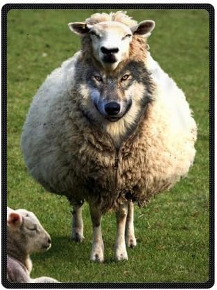 Fleece Prints Throw Blanket for Sofa Couch Lounge Bed Bedding a Wolf in Sheep's Clothing Fleece Throw Blanket 58" x 80" (Large)