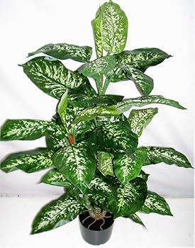 40" Artificial Silk Dieffenbachia Floor Plant