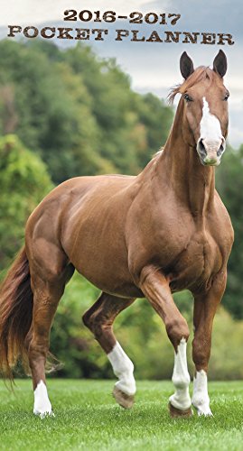 Horses 2016 Pocket Planner