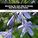 Unraveling The Inner Game To Ceiling Fans Sales Success Online