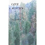 Catch a Succubus ~ J.R. Bowles