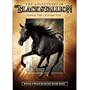The Adventures of The Black Stallion V.1 (6 Episodes)