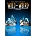 Wild and Weird - The Alloy Orchestra Plays 14 Fascinating and Innovative Films 1902 - 1965