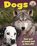Dogs